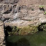 Fazenda Do Sousinha Πανσιόν Φουνκάλ
