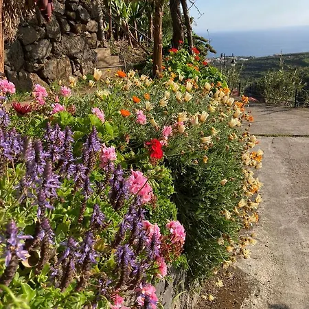 Guest house Fazenda Do Sousinha