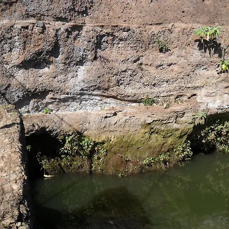 Fazenda Do Sousinha Affittacamere Funchal (Madeira)