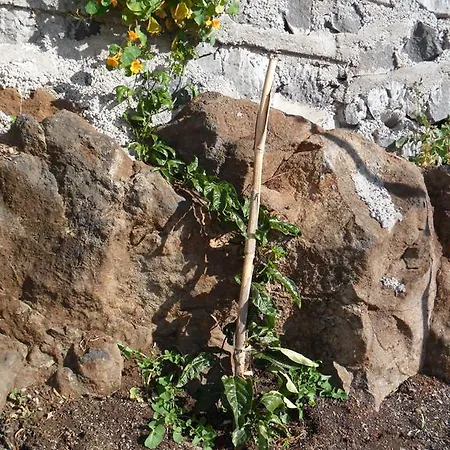 Fazenda Do Sousinha Funchal (Madeira)