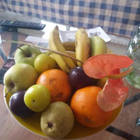 Fazenda Do Sousinha Guest house Funchal (Madeira)