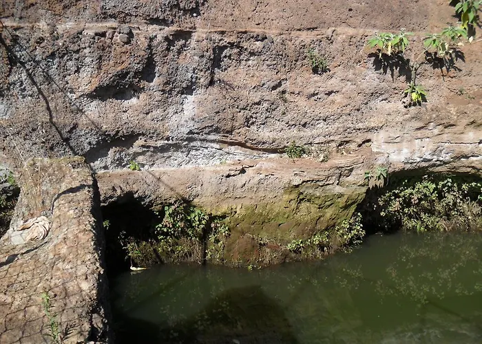 Fazenda Do Sousinha Pensión Funchal (Madeira)