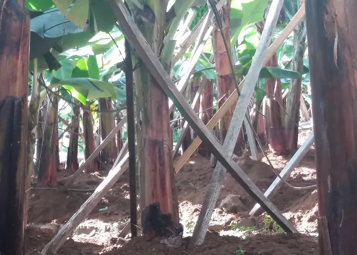 Fazenda Do Sousinha Affittacamere 4*