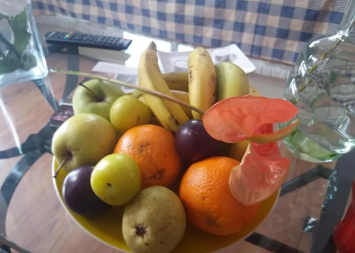 Fazenda Do Sousinha Affittacamere Funchal (Madeira)