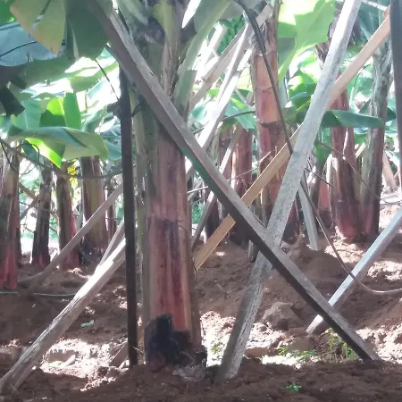 Fazenda Do Sousinha Affittacamere *