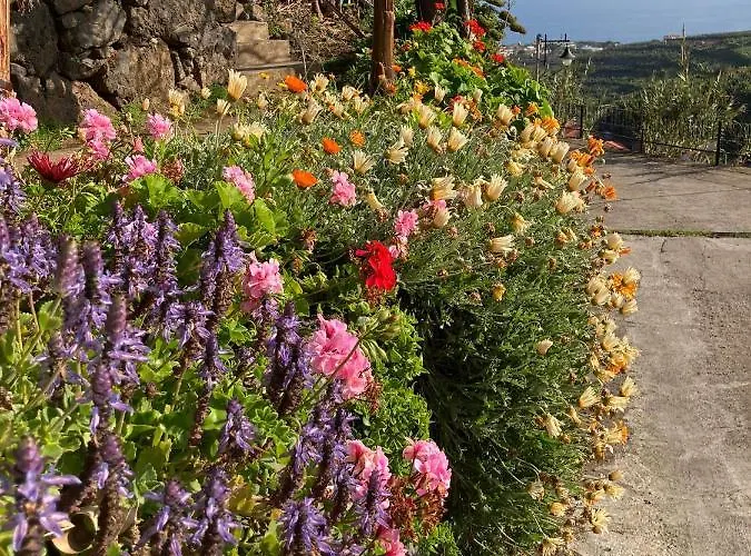 Vendégház Fazenda Do Sousinha